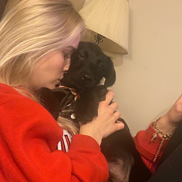 Meet your Posher, Lauren - Picture 1 of 3